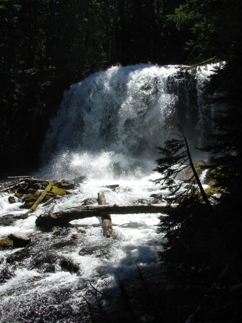 Summer '06 Sunriver 297 